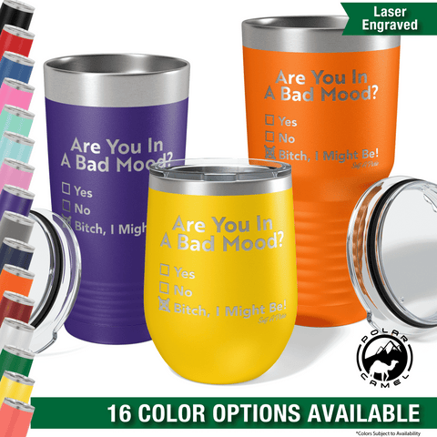 Are You In a Bad Mood? - Insulated Tumbler